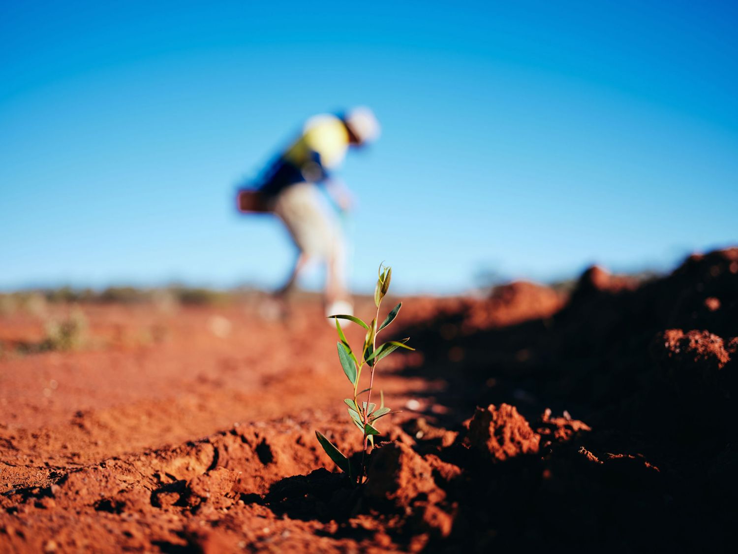 Sustainability reports