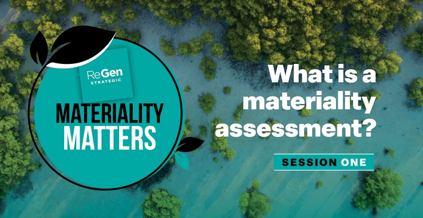 Materiality assessment